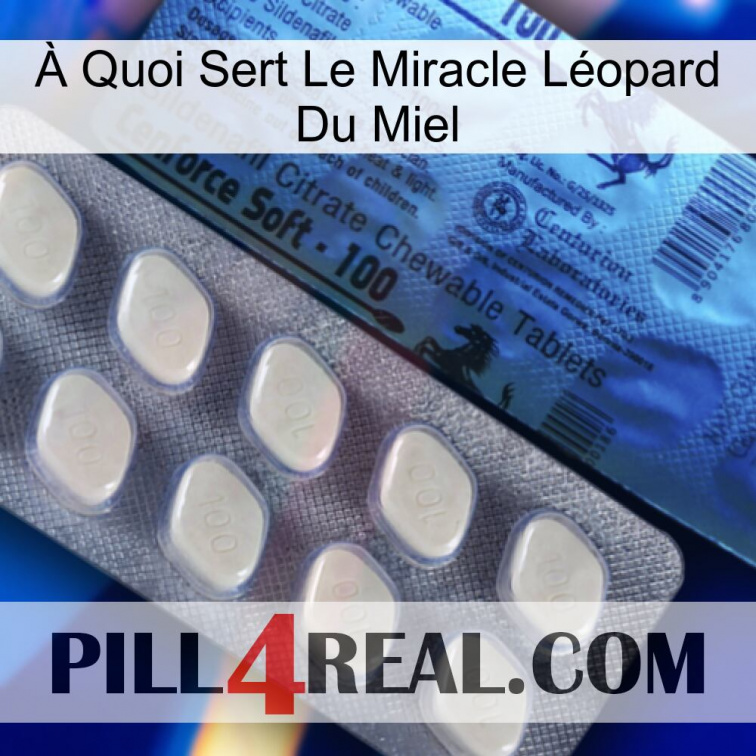 À Quoi Sert Le Miracle Léopard Du Miel 34
